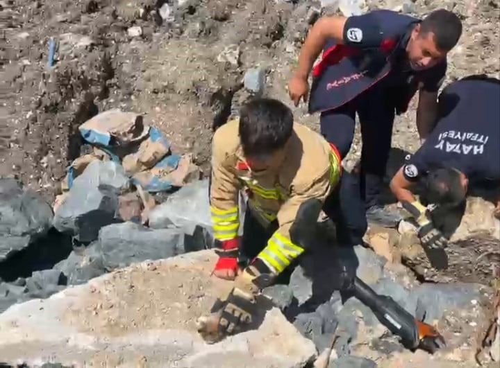 HATAY'DA HAFRİYAT YIĞINI ALTINDA BORU İÇERİSİNDE SIKIŞAN YAVRU KEDİLER, İTFAİYE EKİPLERİNİN...