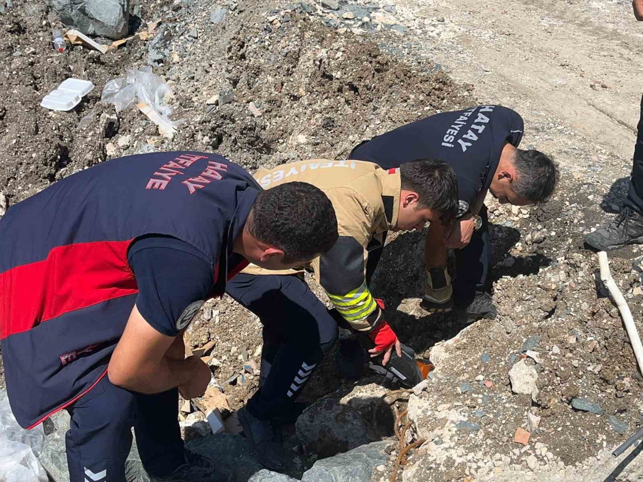 HATAY'DA HAFRİYAT YIĞINI ALTINDA BORU İÇERİSİNDE SIKIŞAN YAVRU KEDİLER, İTFAİYE EKİPLERİNİN...