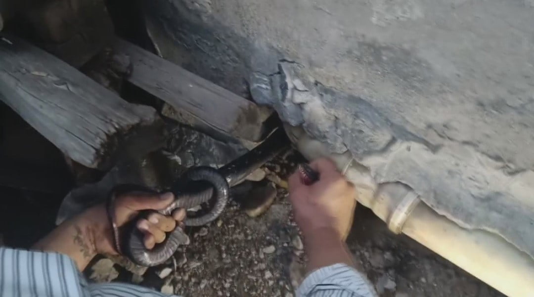 HATAY'DA ‘YILANCI KEMAL' OLARAK TANINAN KEMAL BAŞER, DİYALİZ HASTASAI OLAN AİLENİN EVİNE GİRMEYE...