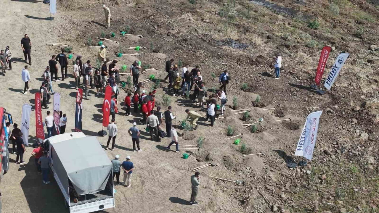 HATAY'IN ANTAKYA İLÇESİNDE GEÇEN YIL YAŞANAN ORMAN YANGINLARINDAN ZARAR GÖREN ALANA ÇOCUKLARLA...