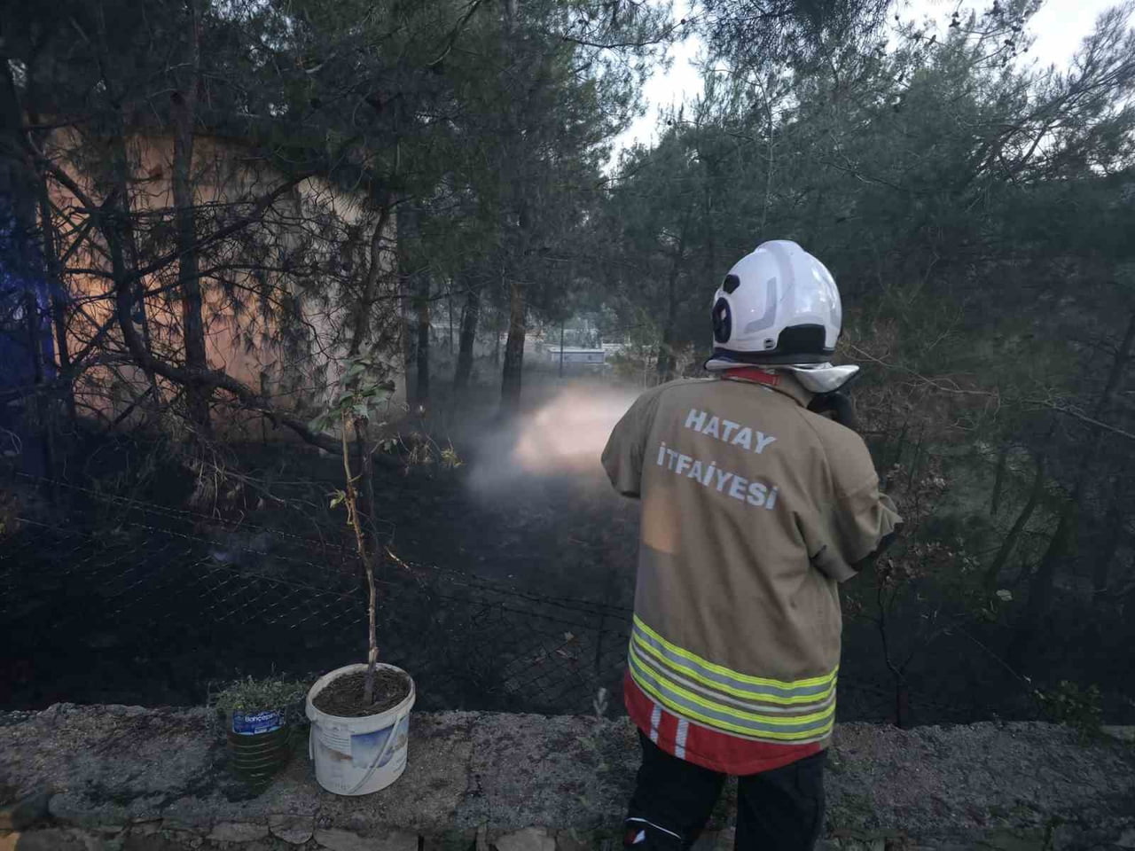 HATAY'IN HASSA İLÇESİNDE ÇAMLIK ALANDA ÇIKAN YANGIN, İTFAİYE EKİPLERİNİN HIZLI MÜDAHALESİYLE DİĞER...