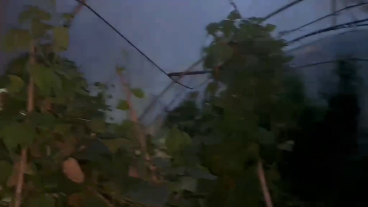 HATAY'IN SAMANDAĞ İLÇESİNDE JANDARMA EKİPLERİ TARAFINDAN GERÇEKLEŞTİRİLEN OPERASYONDA SERA...