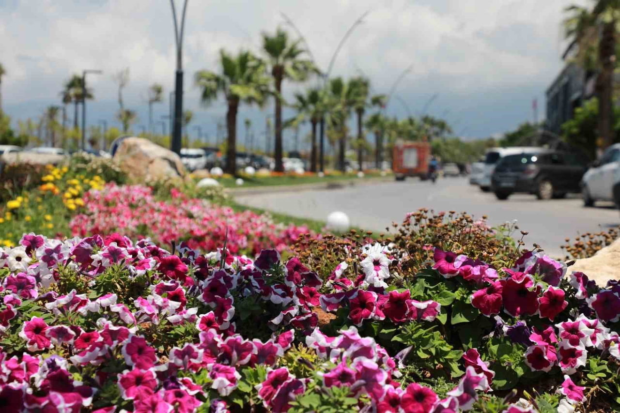 HATAY BÜYÜKŞEHİR BELEDİYESİ EKİPLERİNCE İSKENDERUN SAHİLİ’NDE GERÇEKLEŞTİRİLEN ÇİÇEKLENDİRME VE...