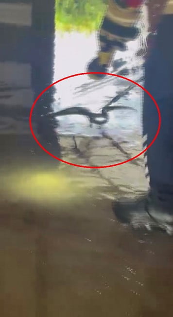 HATAY BÜYÜKŞEHİR BELEDİYESİNE BAĞLI İTFAİYE EKİPLERİNİN MÜDAHALESİNİN ARDINDAN APARAT YARDIMIYLA...