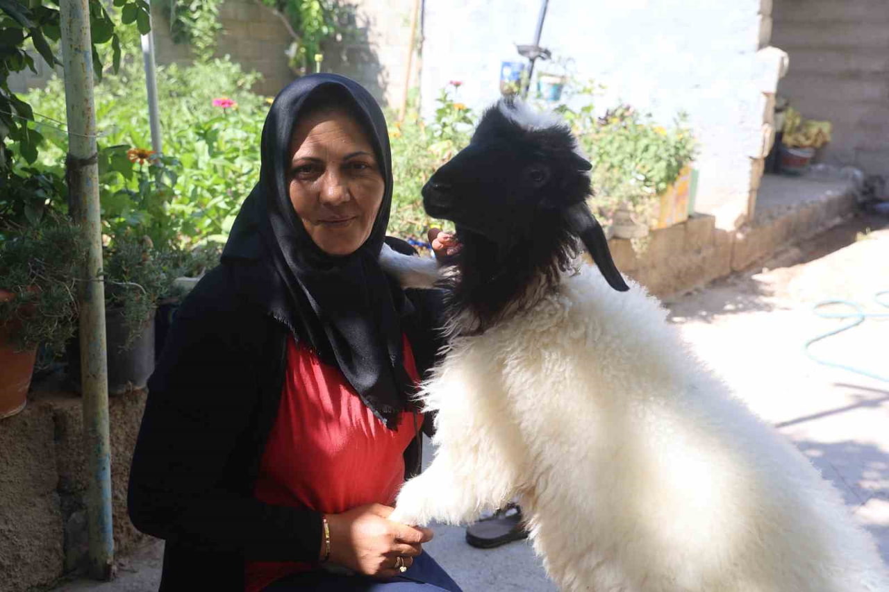 HATAY’DA 10 YAŞINDAKİ KIZINI LÖSEMİ NEDENİYLE KAYBEDEN KADER BÜK, YAŞADIĞI BÜYÜK ACININ ARDINDAN...