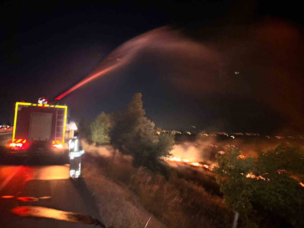 HATAY’DA ANIZ YANGININDAN ZEYTİNLİK ALANA SIÇRAYAN ALEVLER YAKLAŞIK 200 DÖNÜM ARAZİNİN ZARAR...