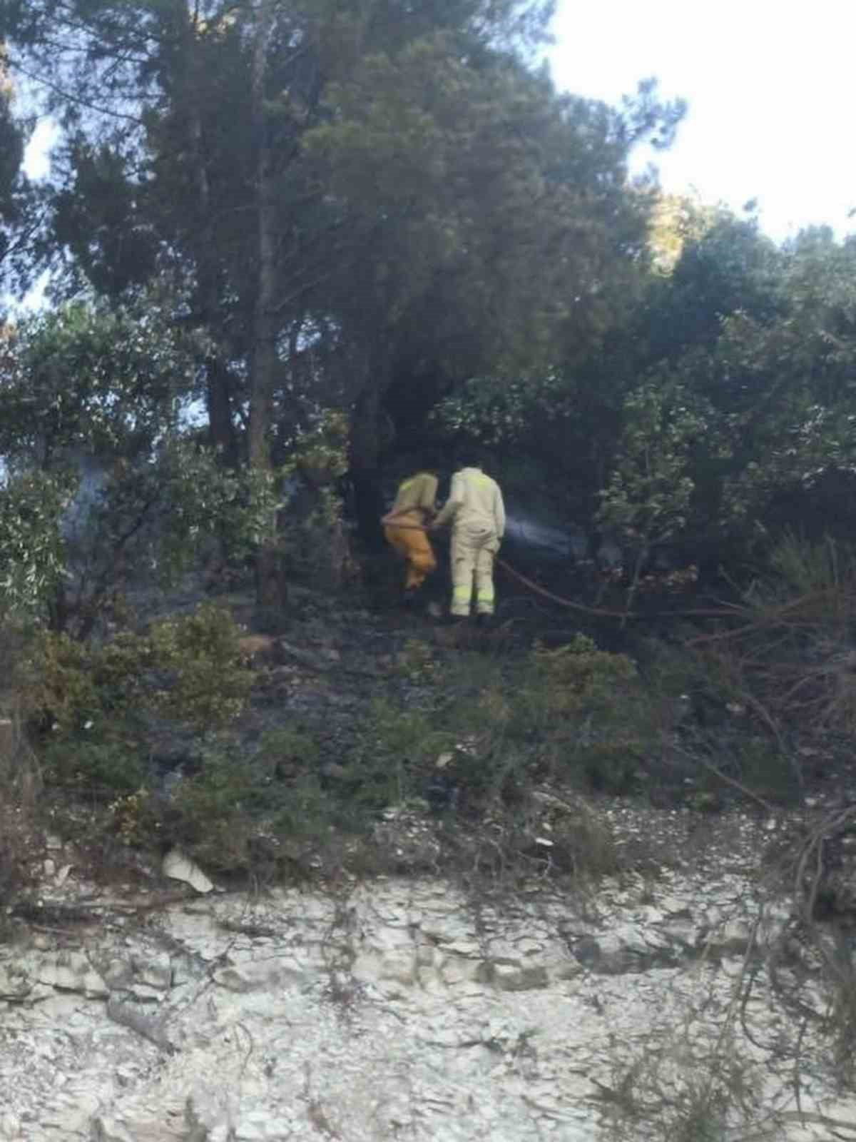 HATAY’DA ÇIKAN ORMAN YANGINI EKİPLERİN MÜDAHALESİYLE BÜYÜMEDEN KONTROL ALTINA ALINDI.