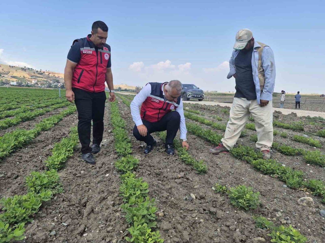HATAY İL TARIM VE ORMAN MÜDÜRÜ ABDURRAHMAN TÜRKMEN, ANTAKYA’DA YER FISTIĞI ÜRETİMİ YAPILAN...