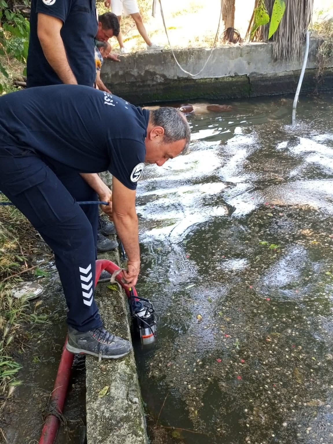 HATAY’IN ANTAKYA İLÇESİNDE OTLANIRKEN SU HAVUZUNA DÜŞEN İNEK, İTFAİYE EKİPLERİ TARAFINDAN...