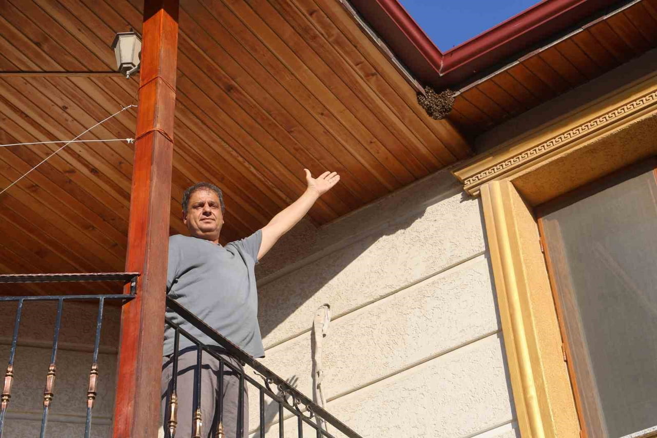 HATAY’IN DEFNE İLÇESİNDE BİR EVİN ÇATISINA GİREN BİNLERCE BAL ARISI, GÜNLER İÇERİSİNDE OĞUL...