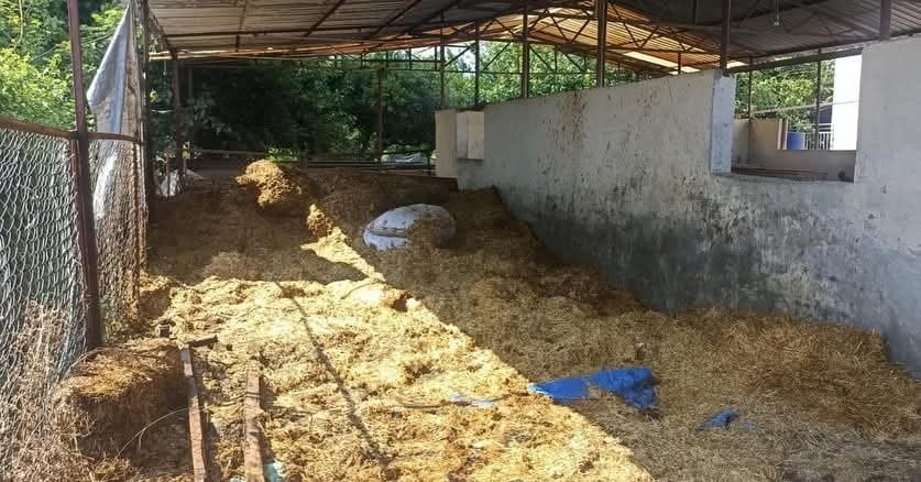HATAY’IN DÖRTYOL İLÇESİNDE ÇIKAN SAMANLIK YANGINI KISA SÜREDE KONTROL ALTINA ALINDI.
