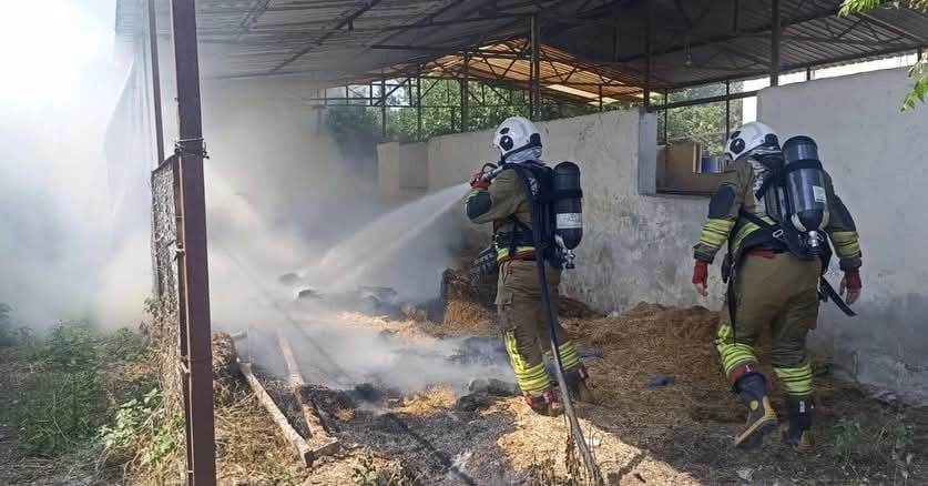 HATAY’IN DÖRTYOL İLÇESİNDE ÇIKAN SAMANLIK YANGINI KISA SÜREDE KONTROL ALTINA ALINDI.