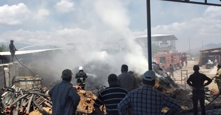 HATAY’IN HASSA İLÇESİNDE ÇIKAN SAMANLIK YANGIN GENİŞ ALANA SIÇRAMADAN KISA SÜREDE KONTROL ALTINA...