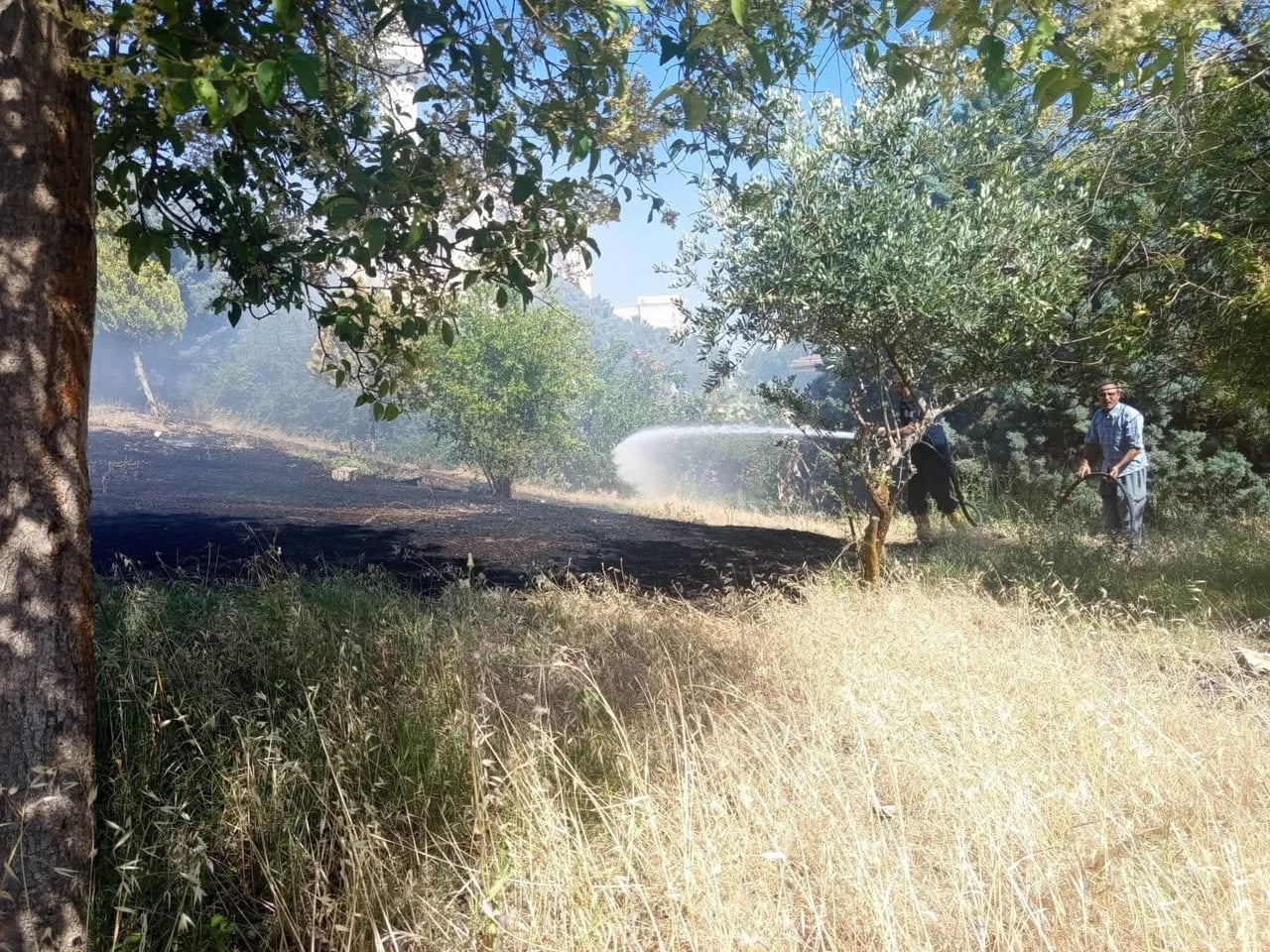 HATAY’IN REYHANLI İLÇESİNDE ZEYTİNLİK ALANDA ÇIKAN YANGIN, İTFAİYE EKİPLERİNİN MÜDAHALESİYLE...
