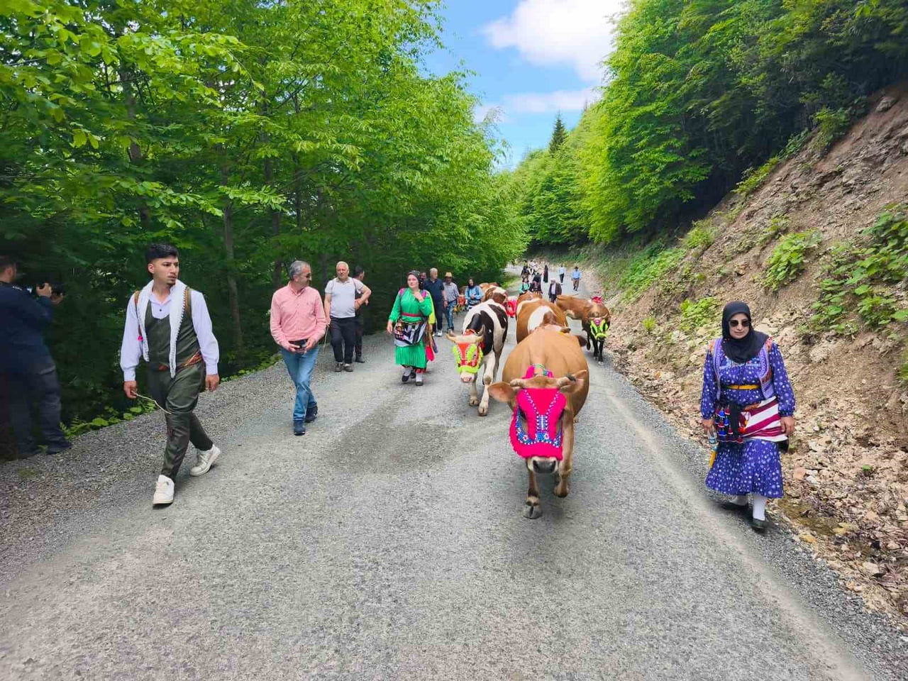 HAVALARIN ISINMASIYLA BİRLİKTE TRABZON'UN ŞALPAZARI İLÇESİNDE ASIRLARDIR YAŞATILAN YAYLA GÖÇÜ...