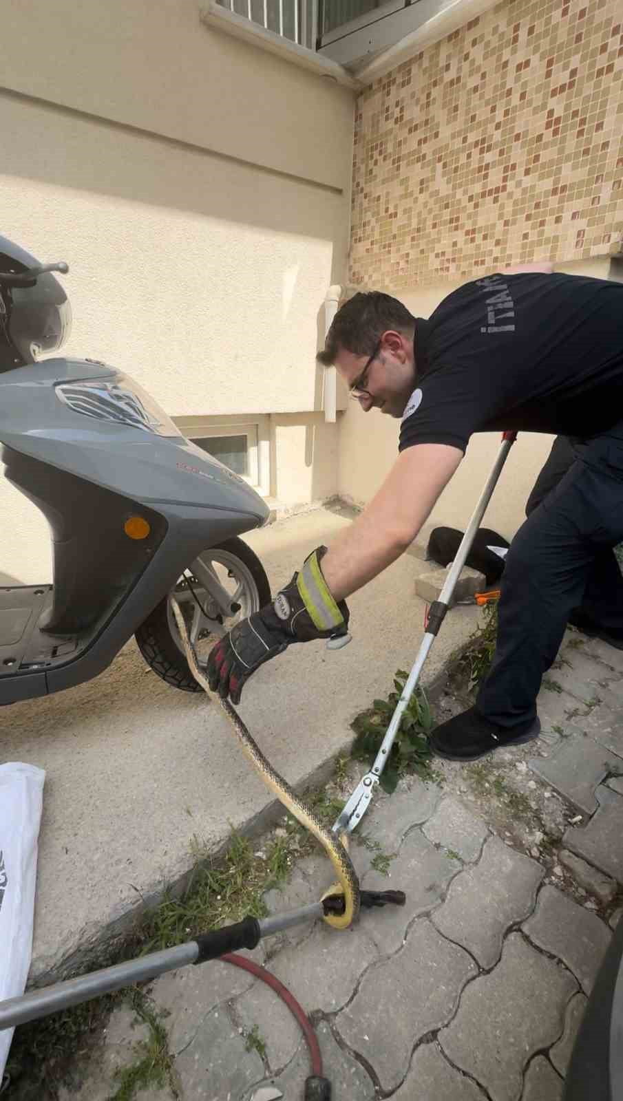 İHBAR ÜZERİNE OLAY YERİNE GELEN EDİRNE BELEDİYESİ İTFAİYE MÜDÜRLÜĞÜ EKİPLERİ, ÖZEL APARATLAR...