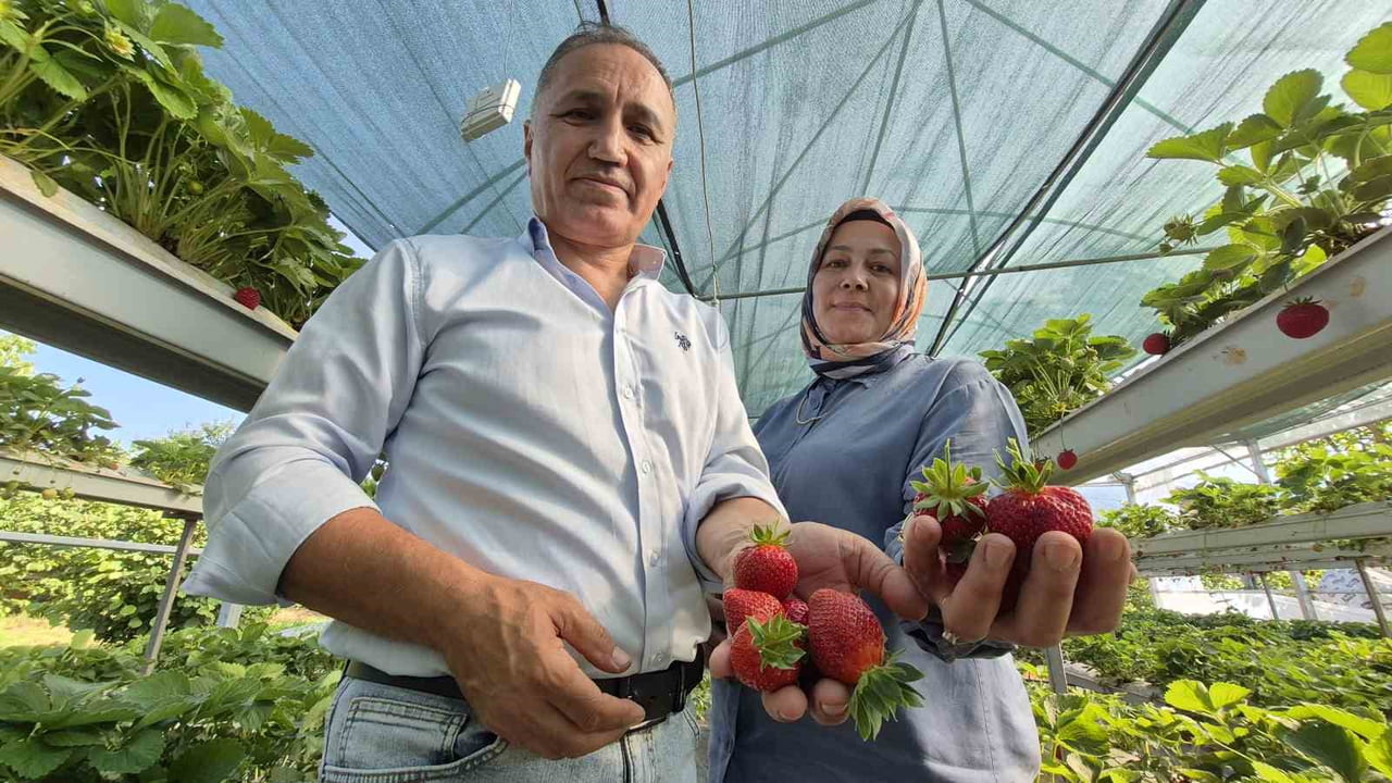 İSTANBUL'DA 26 YIL ÇALIŞTIKTAN SONRA EMEKLİ OLUP MEMLEKETLERİ DÜZCE'NİN KAYNAŞLI İLÇESİNE YERLEŞEN...