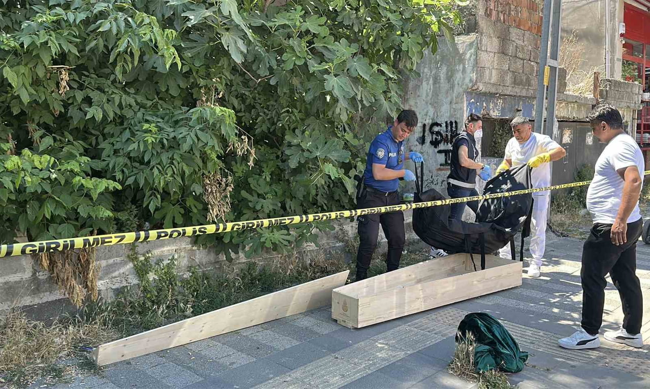 İSTANBUL'UN SARIYER İLÇESİNDE KAYBOLAN KEDİSİNİ ARAMAK İÇİN BİNAYA GİREN BİR VATANDAŞ, ERKEK...