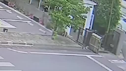 Japonya'nın Fukushima eyaletinde yerleşim bölgesine inen ayı, bir fabrikada 2 kişiyi yaraladıktan...