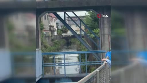 Japonya'nın Utsunomiya kentinde 4 gündür sokaklarda görülen ve kentte 94 okulda eğitime ara...