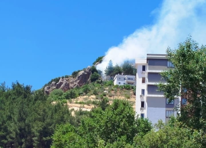 KAHRAMANMARAŞ'TA ÇIKAN ORMAN YANGINI EKİPLERİN MÜDAHALESİ İLE SÖNDÜRÜLDÜ