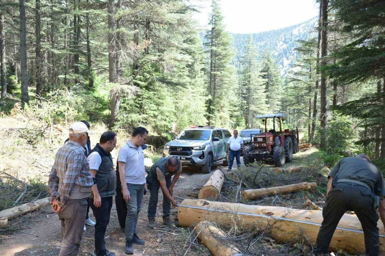 KAHRAMANMARAŞ'TA ORMAN YANGINLARINA KARŞI ALINAN ÖNLEYİCİ TEDBİRLER KAPSAMINDA YOL KENARLARINDA...