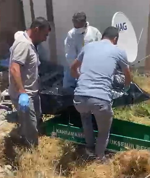 KAHRAMANMARAŞ’IN ELBİSTAN İLÇESİNDE YALNIZ YAŞAYAN 66 YAŞINDAKİ ALİ BOYRAZ KOÇ, EVİNİN BAHÇE...