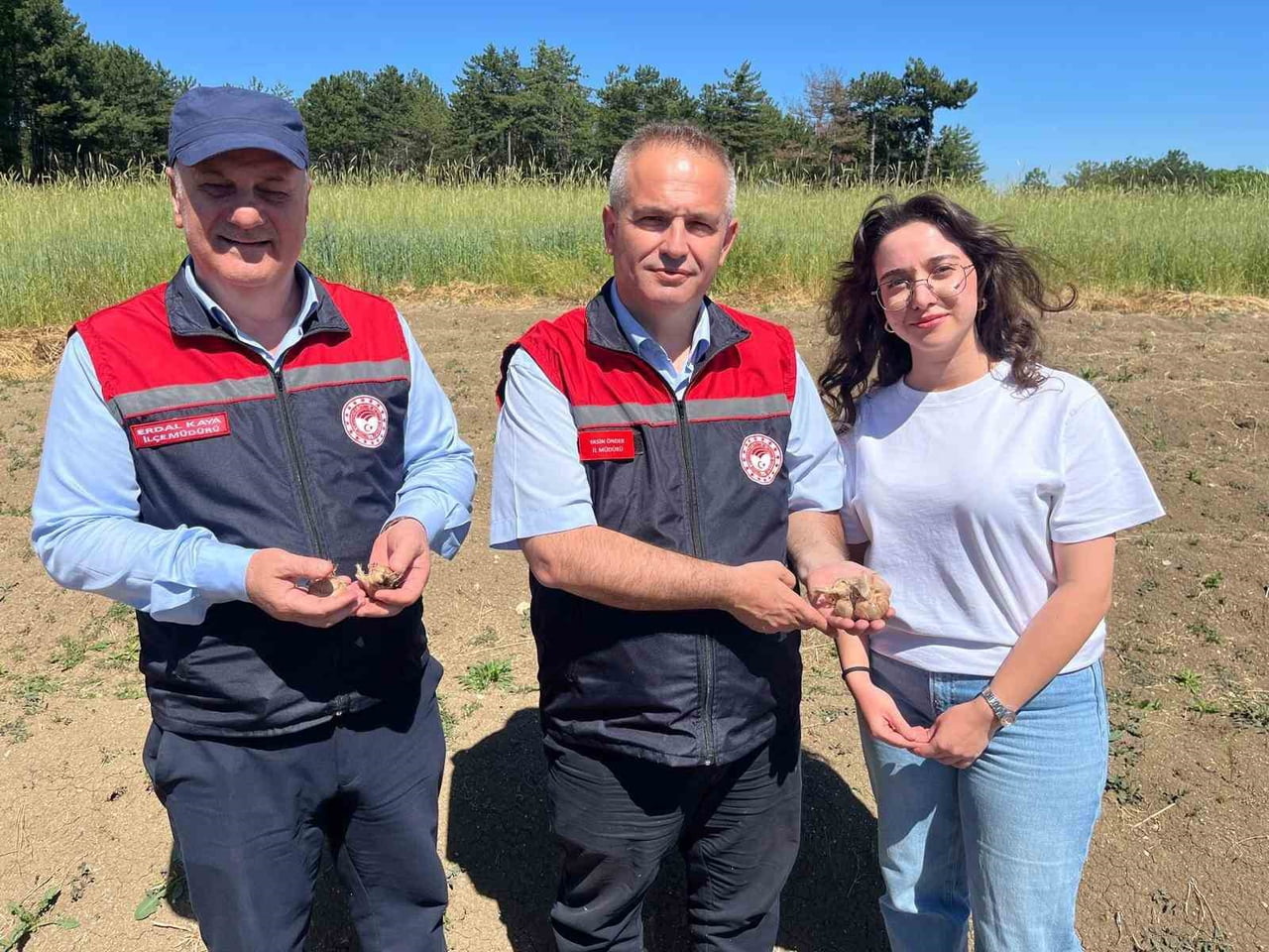 KARABÜK İL TARIM VE ORMAN MÜDÜRÜ YASİN ÖNDER, SAFRANBOLU İLÇESİNDE BULUNAN SAFRAN ÜRETİM...