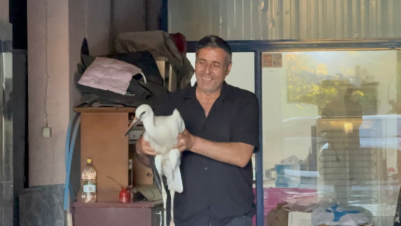 KARABÜK’TE BİR OTO YIKAMA DÜKKANINA SIĞINAN VE UÇAMADIĞI FARK EDİLEN LEYLEK, DOĞA KORUMA VE MİLLİ...