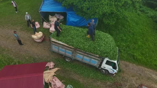 Karadeniz insanı yine zekasını konuşturdu, zor işi kolaylaştırdı