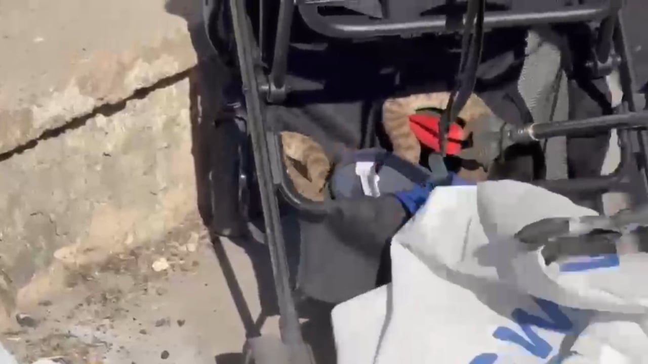 KARAKÖPRÜ İLÇESİNDE BİR AĞAÇTAN BEBEK ARABASINA DÜŞEN YILAN, İTFAİYE EKİPLERİNCE YAKALANARAK DOĞAL...