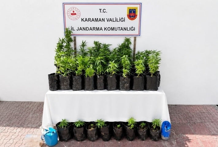 KARAMAN’DA 2 BİN 802 KÖK KENEVİR ELE GEÇİRİLİRKEN, YAKALANAN 140 ŞAHISTAN 13'Ü...