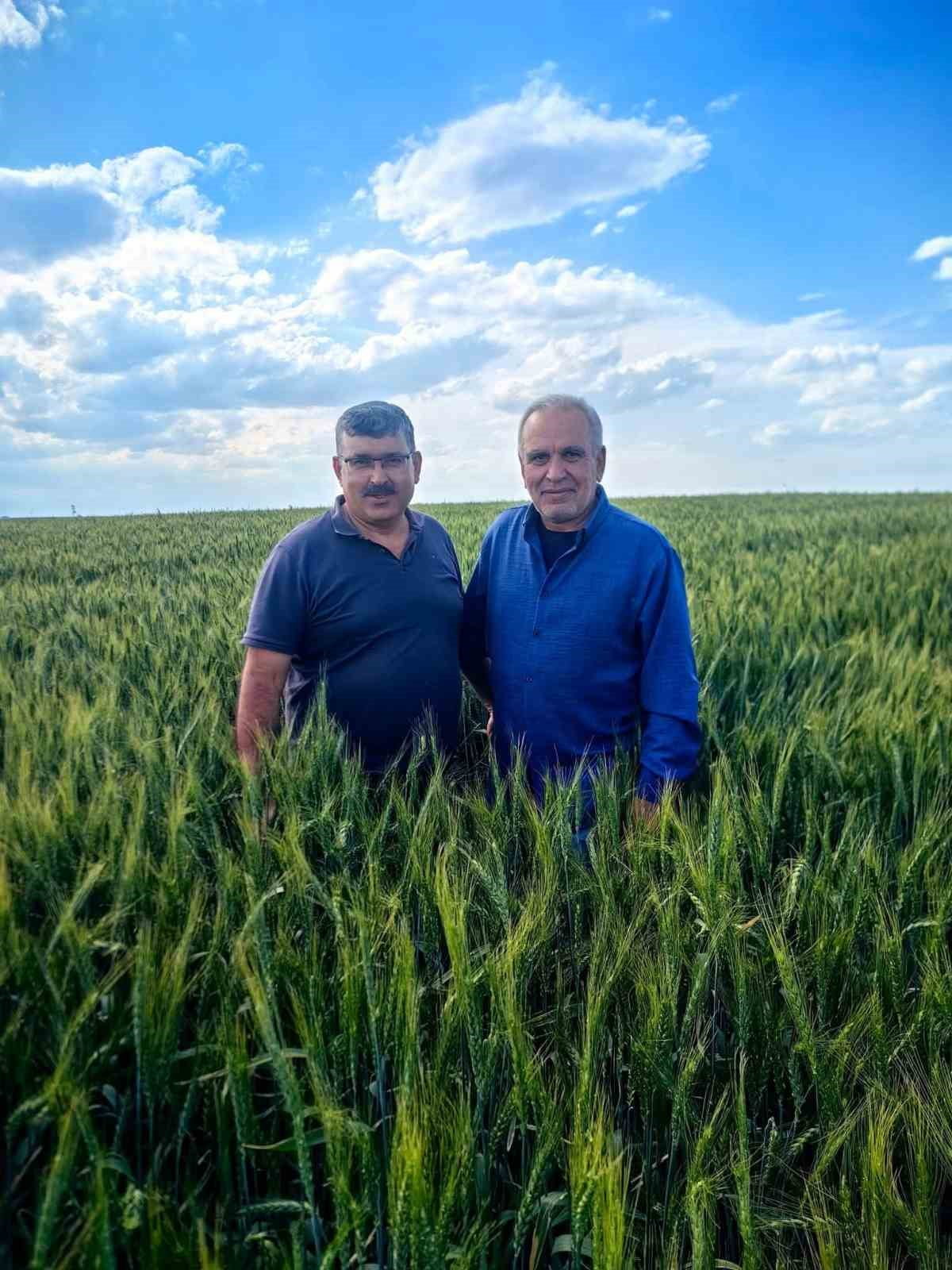 KARAPINAR ZİRAAT ODASI TEKNİK DANIŞMANI PROF. DR. SÜLEYMAN SOYLU (SOLDA) İLE TARIM DANIŞMANI...
