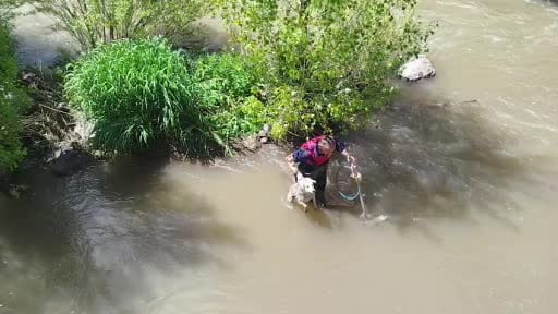 Kars Çayı’nda can pazarı: Azgın suların ortasında mahsur kalan köpek 30 dakikalık operasyonla...