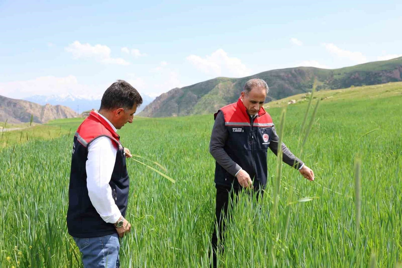 KARS’TA FENOLOJİK GÖZLEM ÇALIŞMALARI SÜRÜYOR(KARS-İHA)