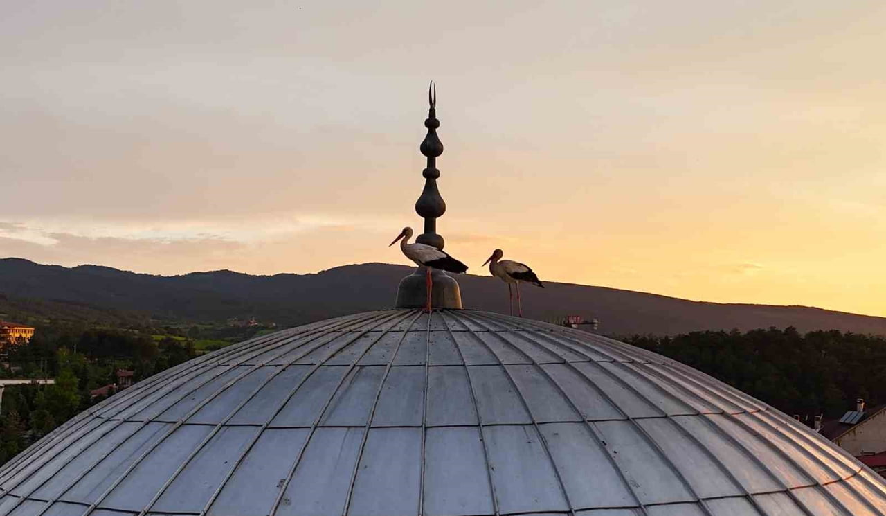 KASTAMONU'NUN İHSANGAZİ İLÇESİNDE GÜN BATIMI SIRASINDA CAMİ KUBBESİNE KONAN LEYLEKLER HAVADAN...