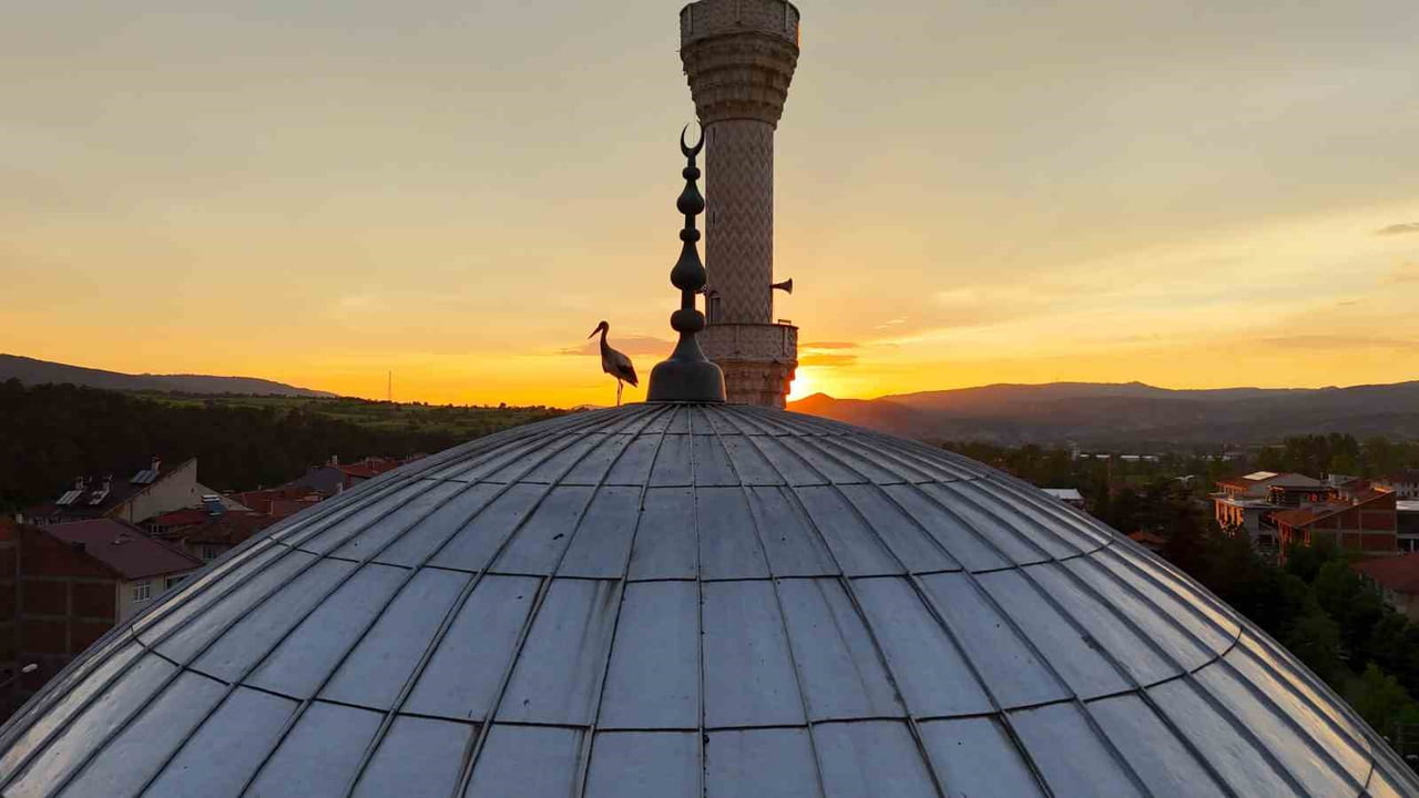 KASTAMONU'NUN İHSANGAZİ İLÇESİNDE GÜN BATIMI SIRASINDA CAMİ KUBBESİNE KONAN LEYLEKLER HAVADAN...