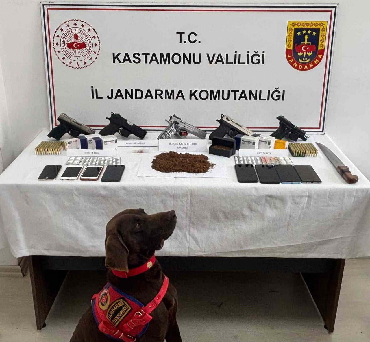 KASTAMONU İL JANDARMA KOMUTANLIĞI EKİPLERİNCE İKİ İLÇEDE 8 AYRI ADRESE DÜZENLENEN UYUŞTURUCU...