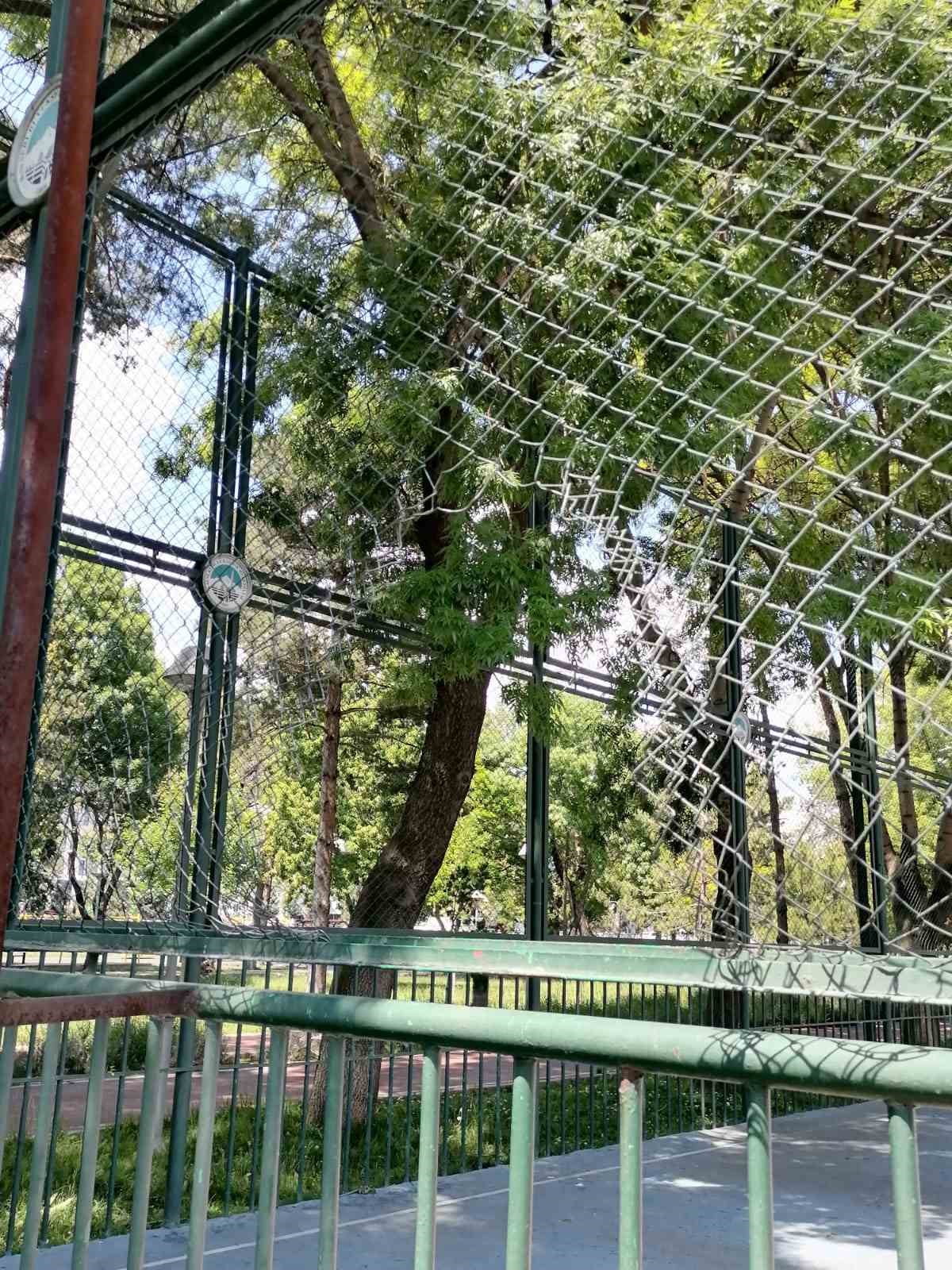 KAYSERİ BÜYÜKŞEHİR BELEDİYE BAŞKANI DR. MEMDUH BÜYÜKKILIÇ; KENT GENELİNDEKİ PARKLARDA VE ORTAK...