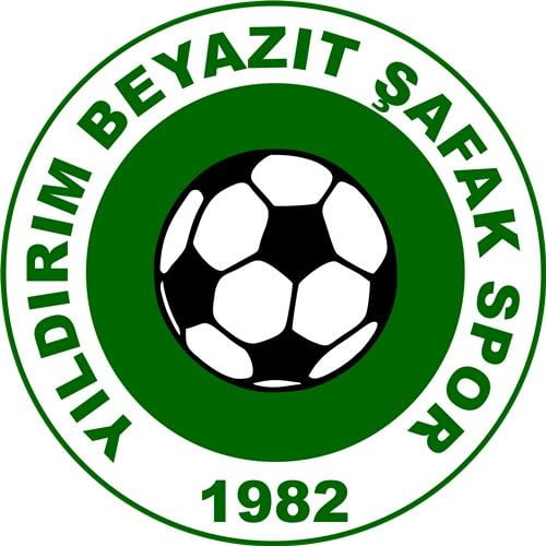 KAYSERİ FUTBOL İL DİSİPLİN KURULU, YILDIRIM BEYAZIT ŞAFAKSPOR KULÜBÜNÜ LİGDEN İHRAÇ...