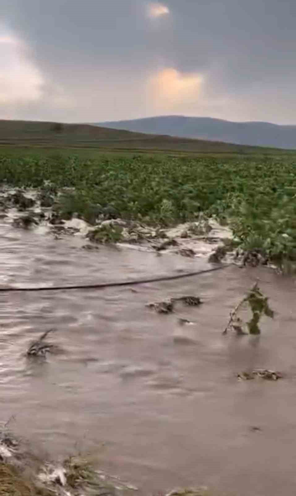 KAYSERİ’NİN TOMARZA İLÇESİNDE ETKİLİ OLAN SAĞANAK YAĞIŞ, SELE DÖNERKEN, SEL NEDENİYLE EKİLİ TARIM...