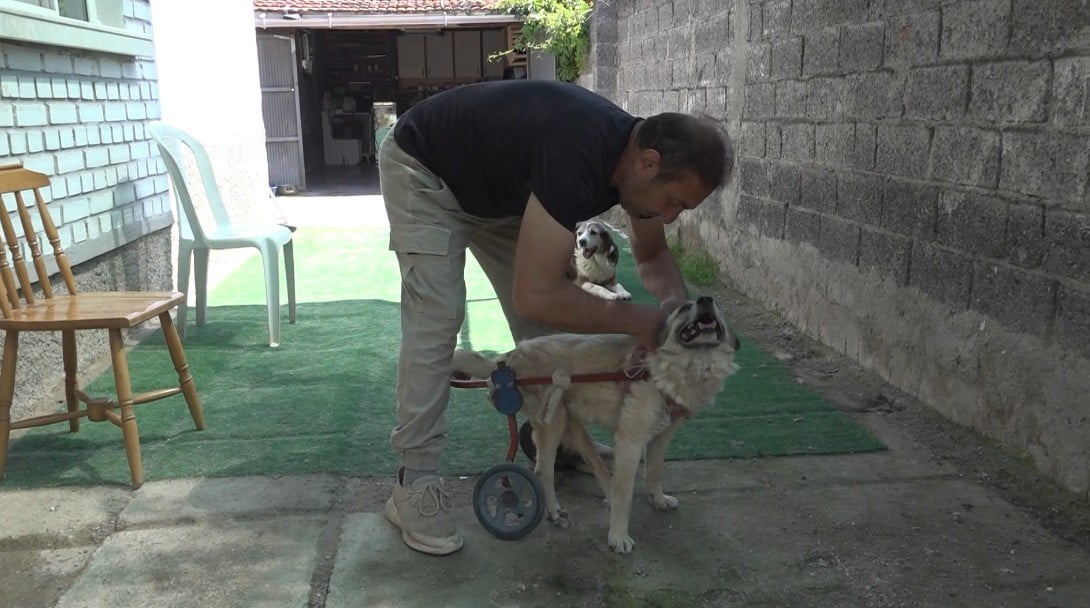 KEMAL AYBARS.