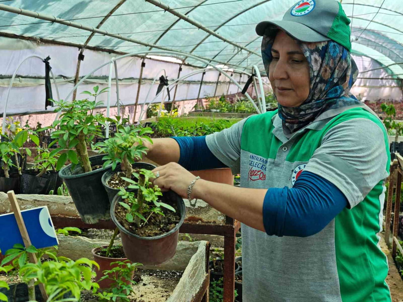 KEPEZ BELEDİYESİ’NİN ATATÜRK MAHALLESİ’NDE BULUNAN 8 BİN 550 METREKARELİK BİTKİ VE FİDAN ÜRETİM...