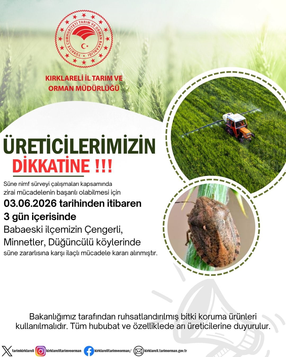 KIRKLARELİ’NDE SÜNE ZARARLISINA KARŞI İLAÇLAMA UYARISI