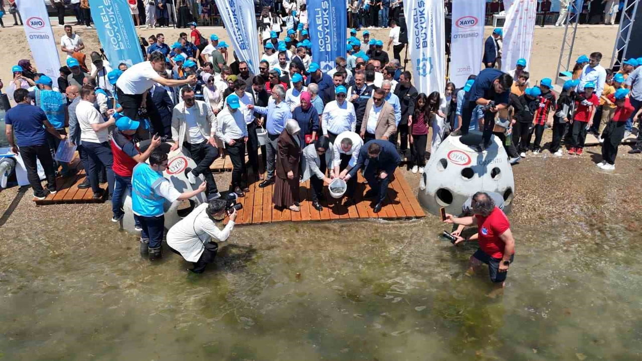 KOCAELİ'DE "DİPTEN DİRİLİŞ" PROJESİ KAPSAMINDA İZMİT KÖRFEZİ'NE 100 YAPAY RESİF İLE 6 BİN YAVRU...