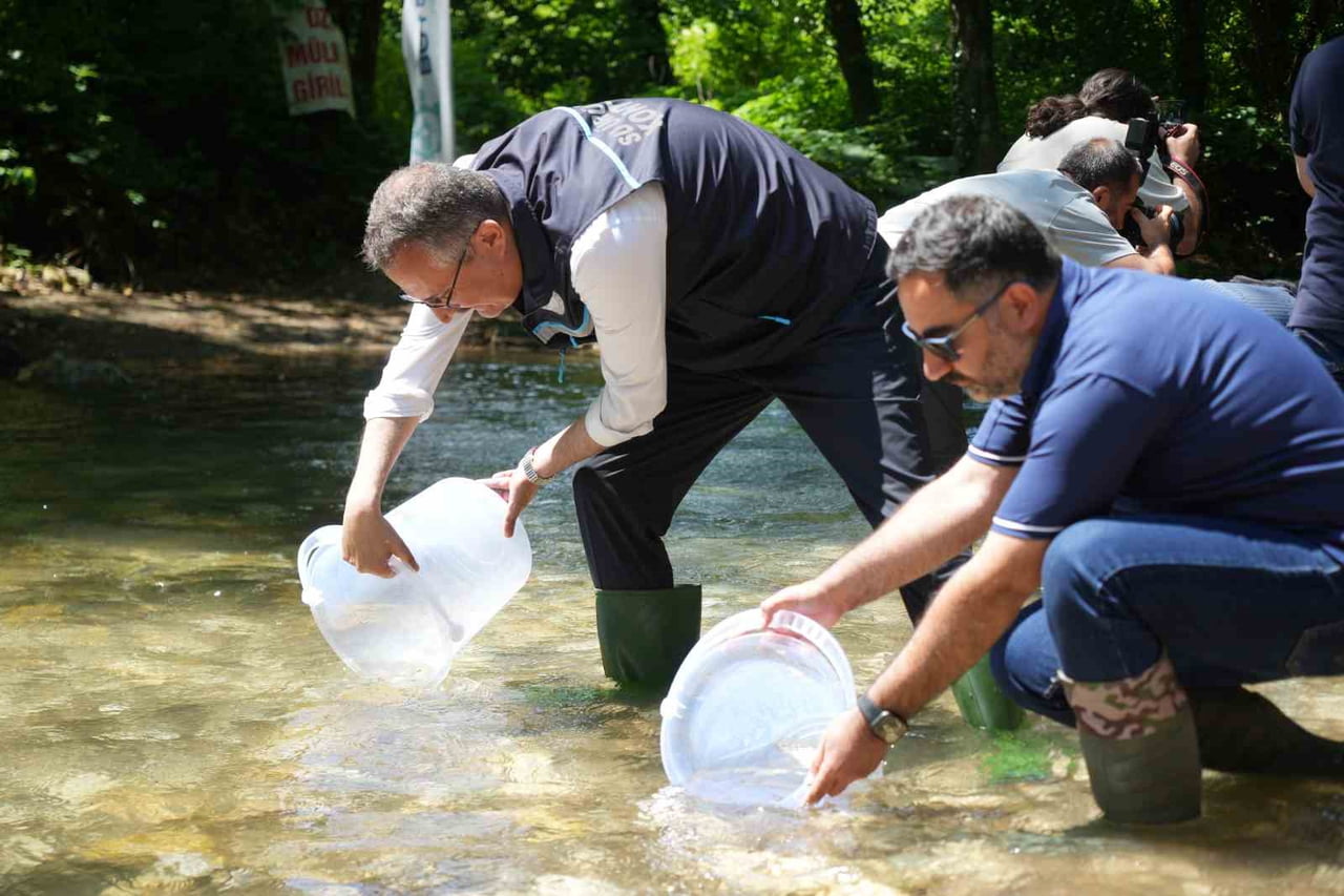 KOCAELİ'DE SU EKOSİSTEMİNİ KORUMAK VE CANLANDIRMAK AMACIYLA YÜRÜTÜLEN "ORMAN İÇİ SULARDA...