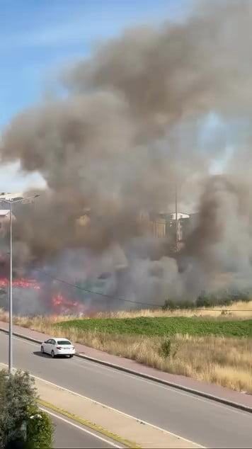 KOCAELİ’NİN DARICA İLÇESİNDE BOŞ ARAZİDE ÇIKAN YANGIN KORKUYA SEBEP OLDU. KURUYAN OTLARIN...