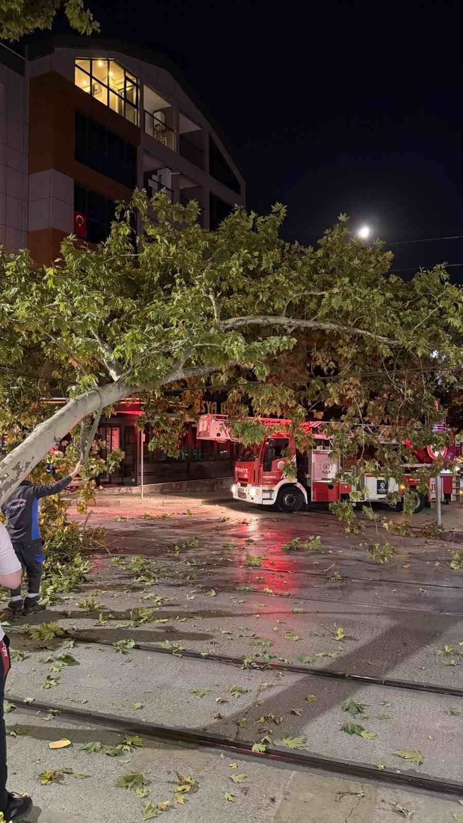 KOCAELİ’NİN İZMİT İLÇESİNDE ÇINAR AĞACINDAN KOPAN DALIN TRAMVAY HATTINA DÜŞMESİYLE TRAMVAY...