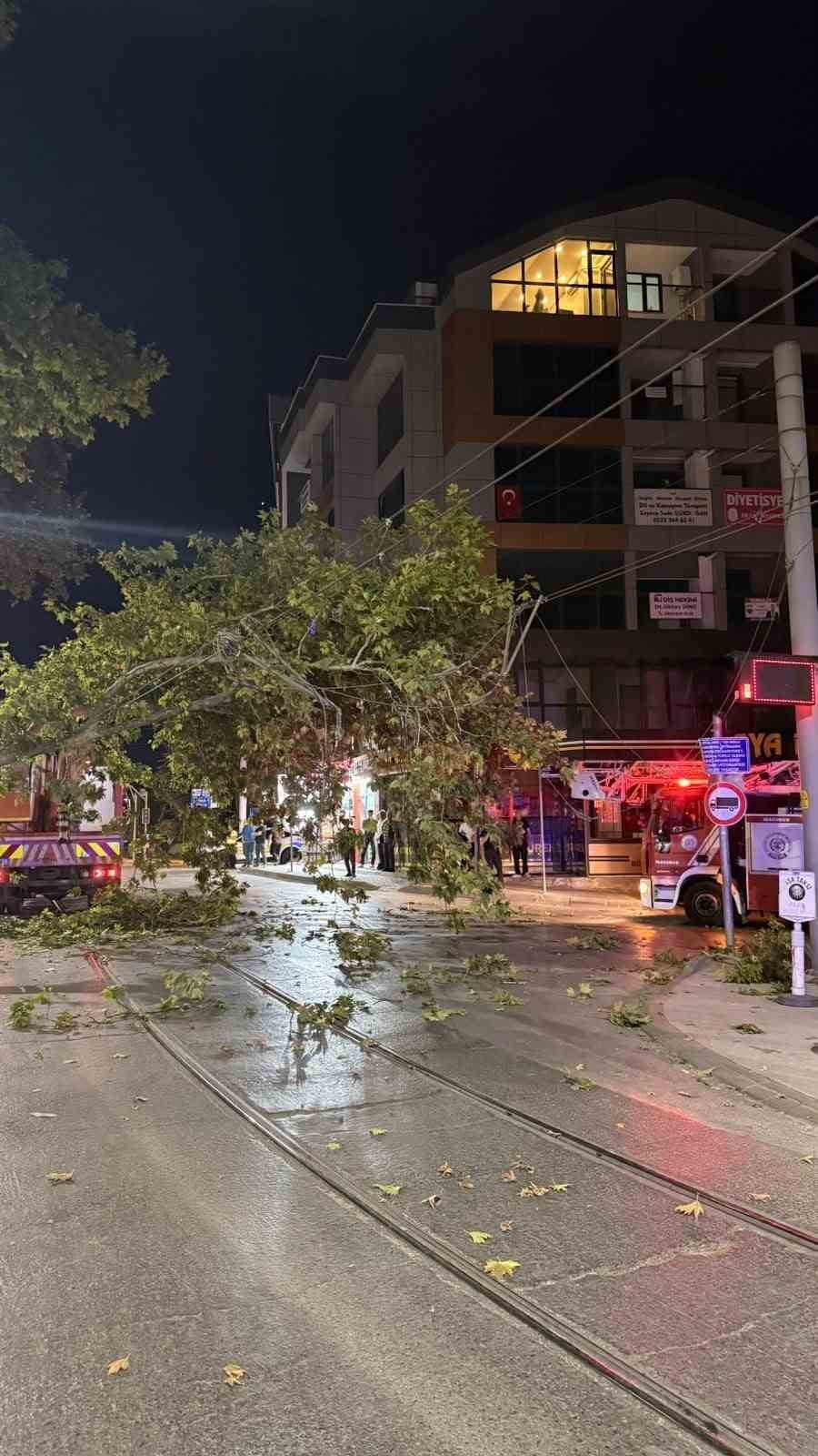 KOCAELİ’NİN İZMİT İLÇESİNDE ÇINAR AĞACINDAN KOPAN DALIN TRAMVAY HATTINA DÜŞMESİYLE TRAMVAY...