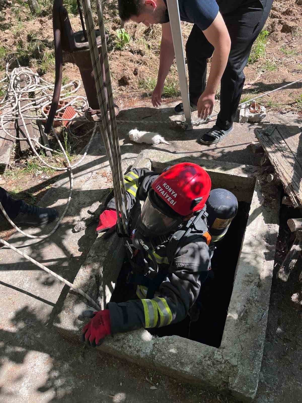 KONYA'NIN SEYDİŞEHİR İLÇESİNDE KUYUYA DÜŞEN YAVRU KEDİ, İTFAİYE EKİPLERİNİN YAKLAŞIK 1,5 SAAT...